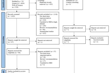 Flowchart of literature selection process