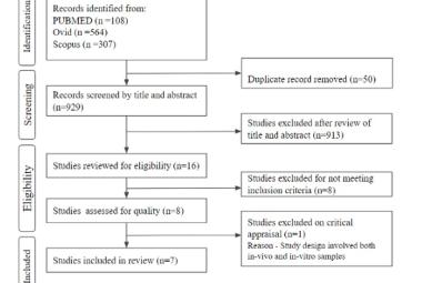 FIGURE 1: Flowchart of studies selection
