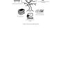 Roots and growth framework. Drawn using Mirosoft Word (Microsoft Corporation, Redmond, WA, USA)