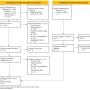 Flowchart of literature selection process