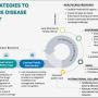 Barriers to treatment and an integrated framework for enhanced support for rare diseases. Created by the authors using Canva (Canva Pty Ltd., Sydney, Australia)